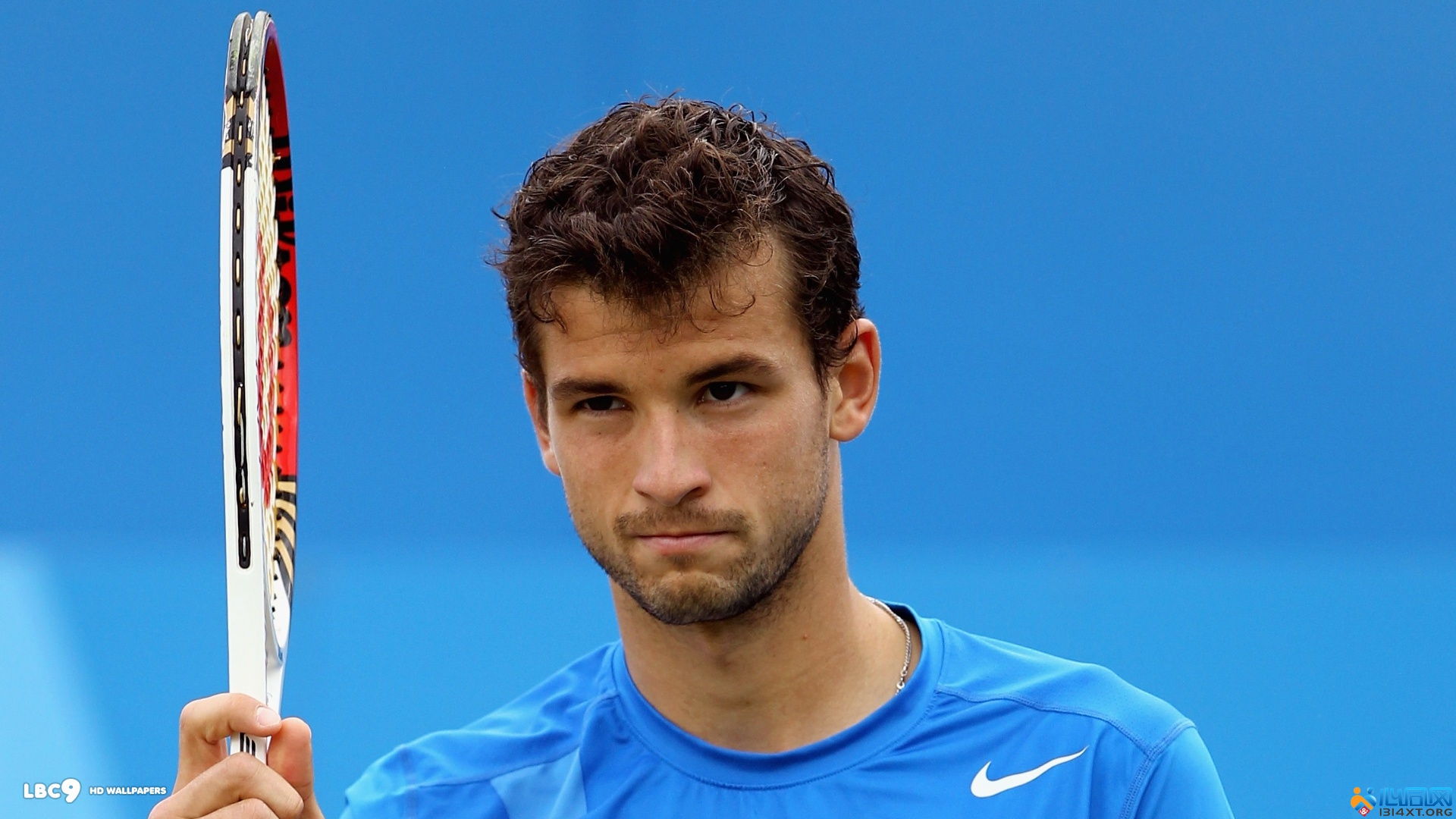 引援倾向明 引援倾向明