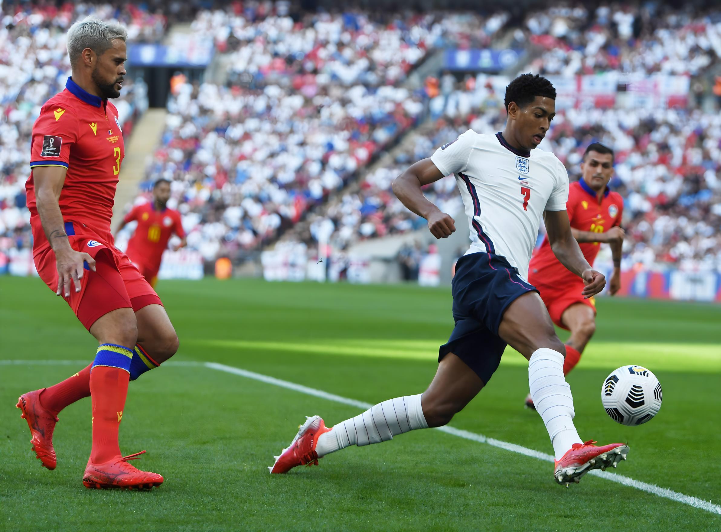 仅以其敏锐 仅以其敏锐